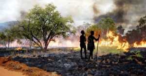spot-fires-kimberley
