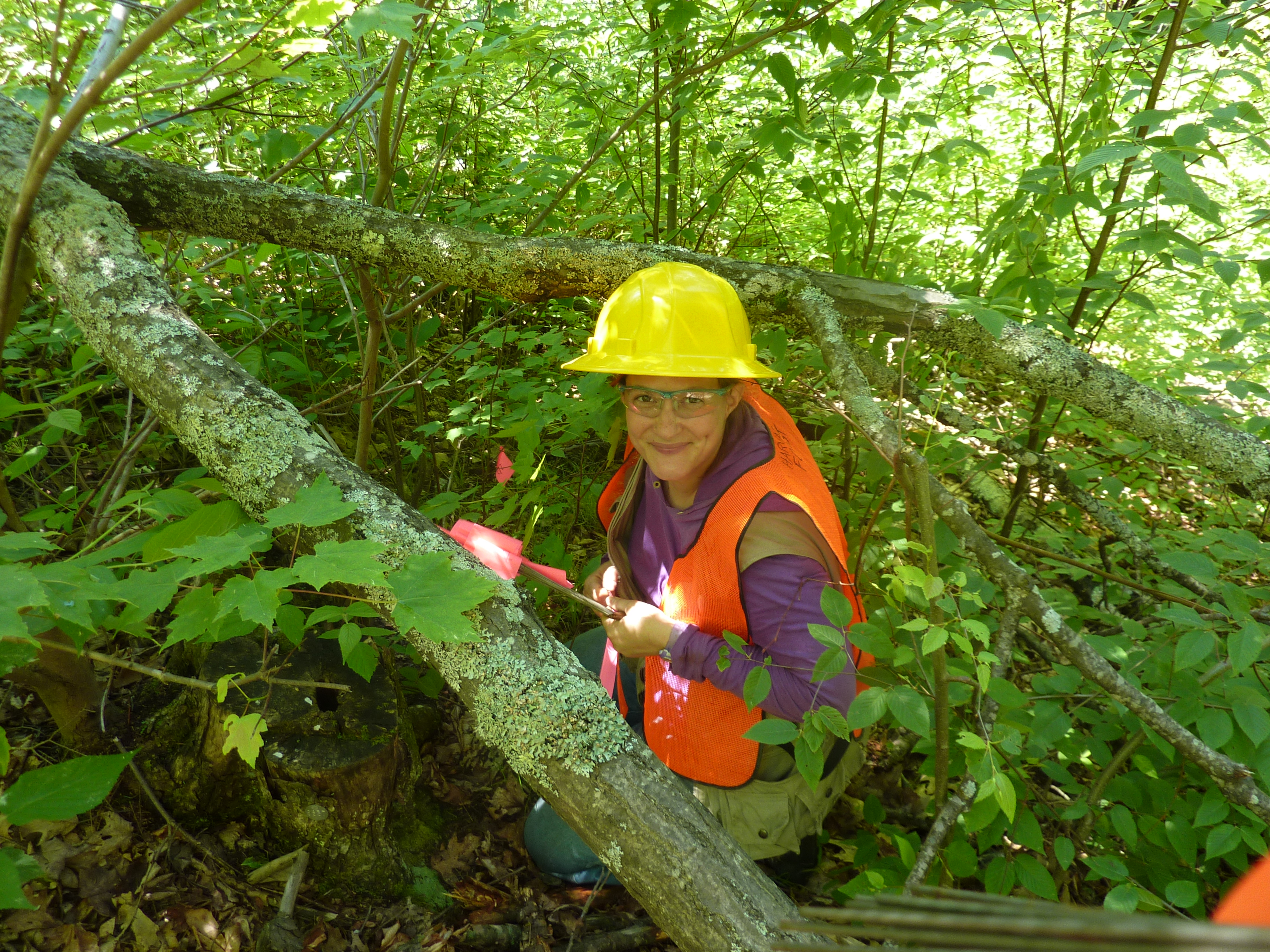 UVM Students and Alumni Receive NSF Graduate Research Fellowship