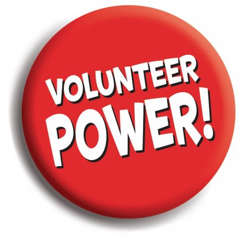 Is there a Pro Volunteer Culture in your organization?