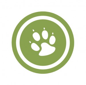 CJL Pawprint Logo