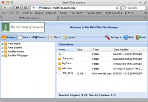 Screenshot of the Webfiles folder listing