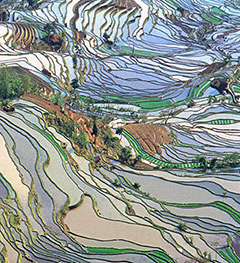 The Humanities and Google Earth