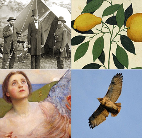A Wealth of Digital Images