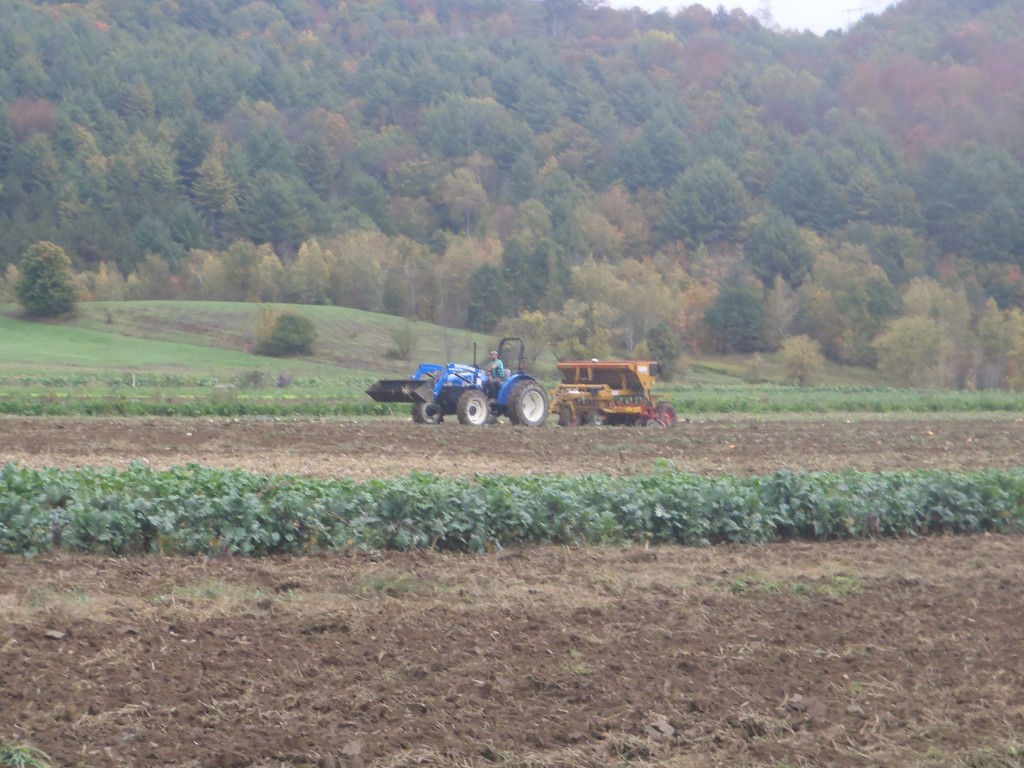 Drilling Cover Crops into Vegetable Fields