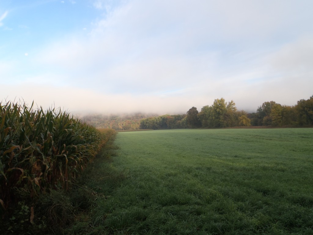 Working Together for Clean Water | Women’s Agricultural Network Blog