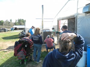 A Maxim 250 at Riverberry Farm in Fairfax, VT.