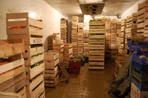 veg in storage 3