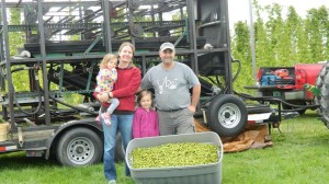 Kathleen, Krista, Marie and Jason Johnson of Aroostook Hops in Westfield, ME with their first bin of cones off the machine.