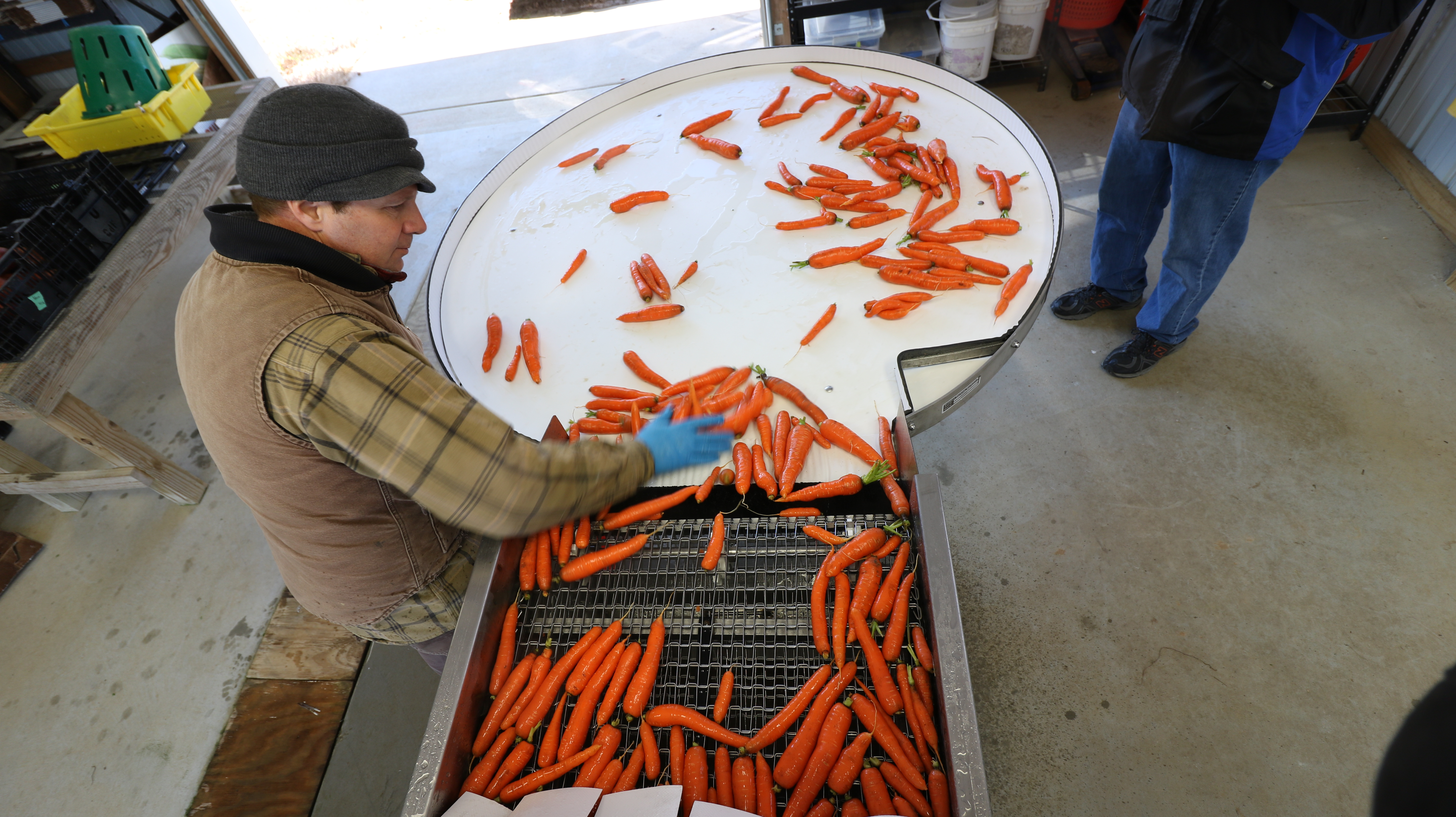 Farmer's Favorites: The AZS Rinse Conveyor – UVM Extension Ag