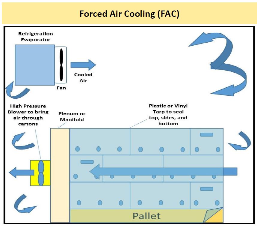 Forced sales air cooling