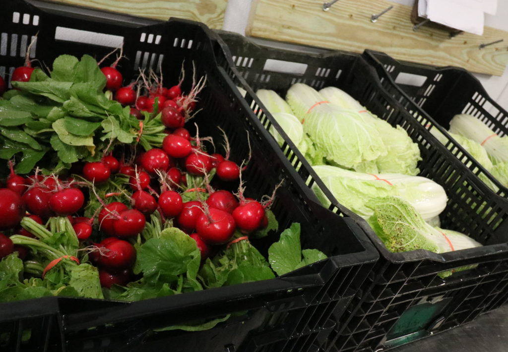 Bins, Buckets, Baskets & Totes – UVM Extension Ag Engineering