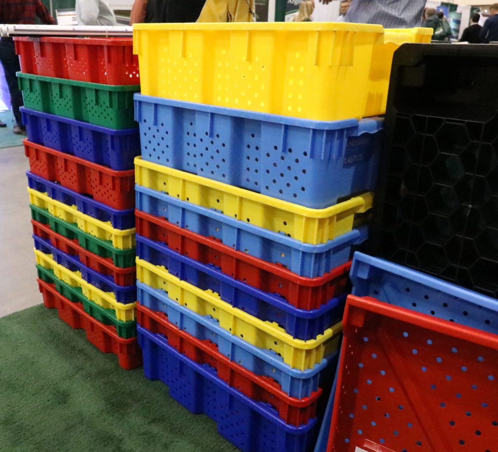 Crates picking - Reusable plastic products for the food processing