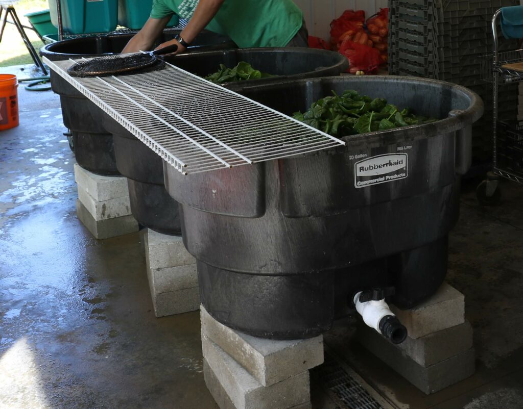 How Does Commercial Vegetable Washing Machine Work ?