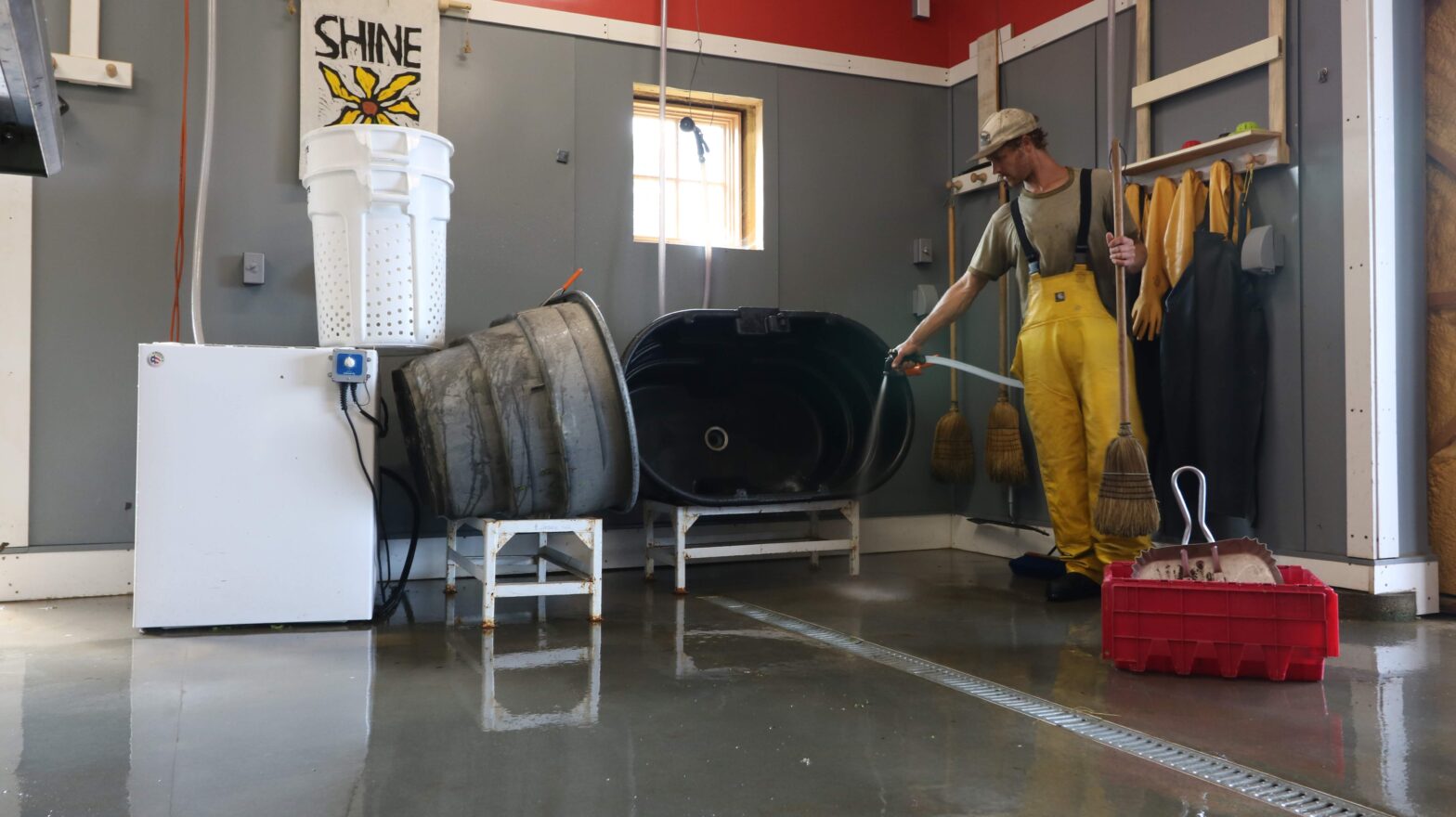 Planning an Efficient and Safe Wash/Pack Area UVM Extension Ag