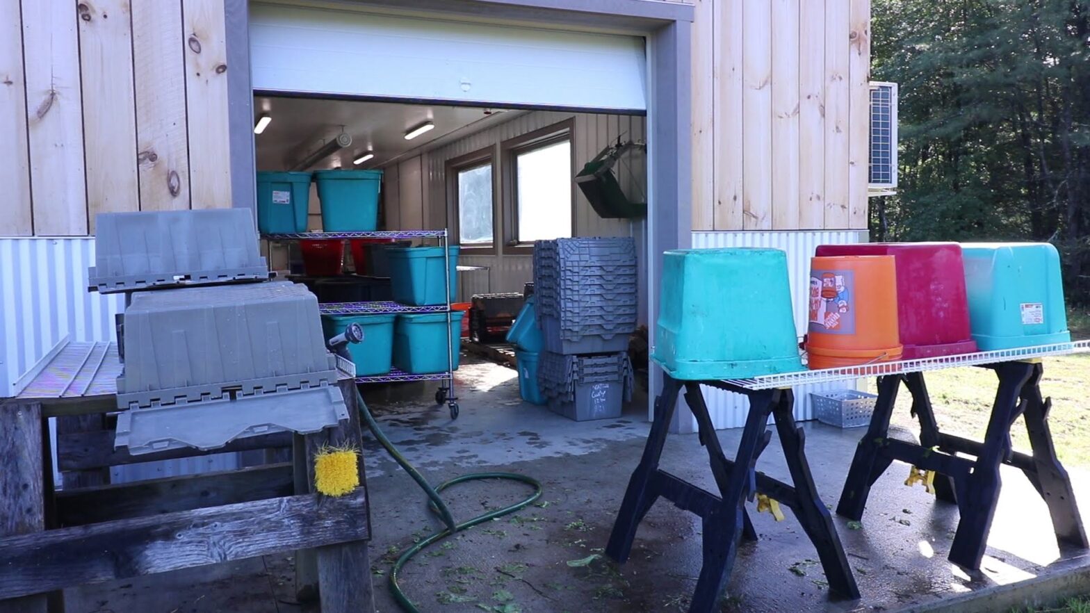 Planning an Efficient and Safe Wash/Pack Area UVM Extension Ag