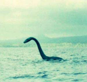 NSSE more than your average lake monster