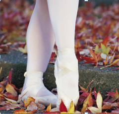 Childhood Toe-Walking: Prevalence and Links to Developmental Problems
