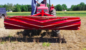 Roller crimper turns cover crop into mulch for cash crop