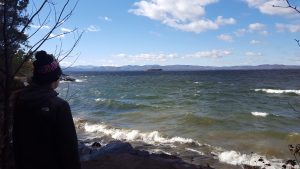 White, foamy, caps on waves on Lake Champlain, high wind speeds that day. Sunny, clear, cold outside. Down the hill from my place.