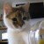 Profile picture of site author zau