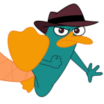 Profile picture of Perri