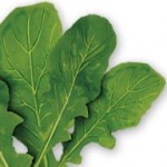 Profile picture of mgreaney