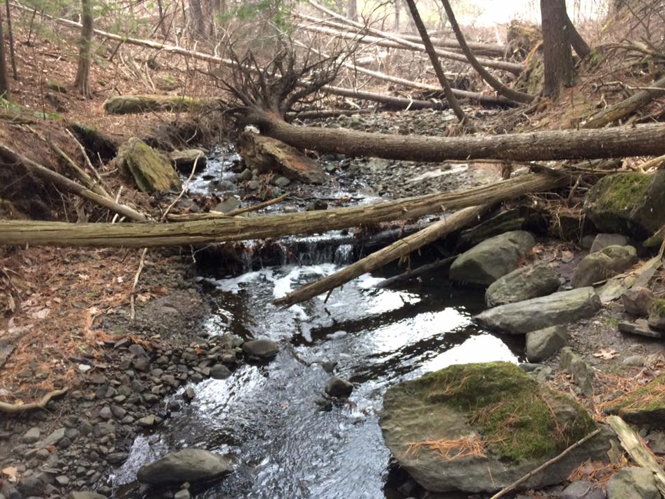 Even more stream flow is most likely due to recent snow melt. (McHale, 2016)