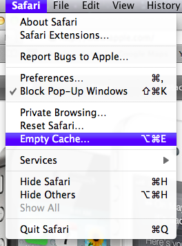 Empty Cache in Safari