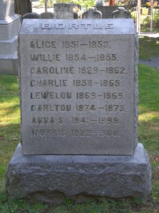 Bortle Family stone