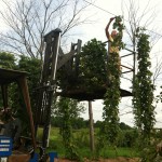 hop harvest 8.12