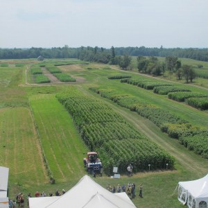 Borderview Research Farm