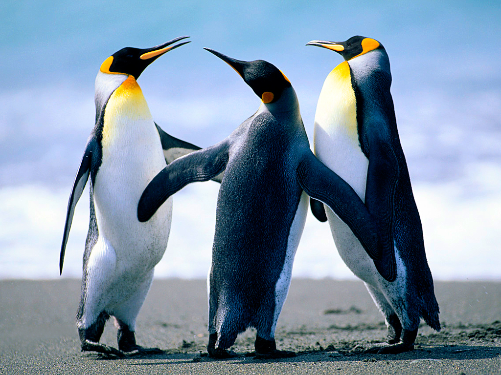 Just Start: Take Action, Embrace Uncertainty, Create the Future
