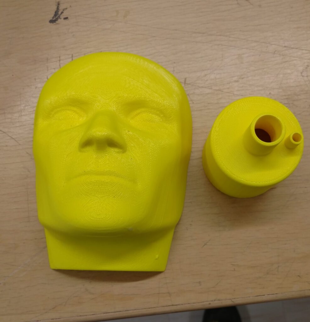 plastic head model