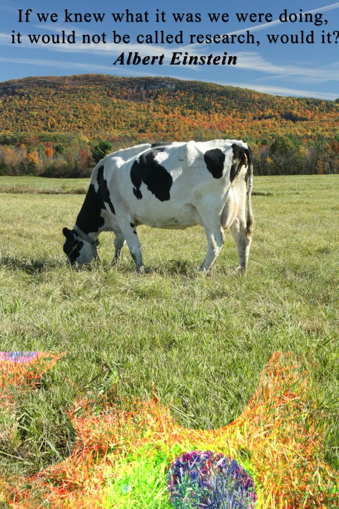Why worry about FMD here in Vermont?