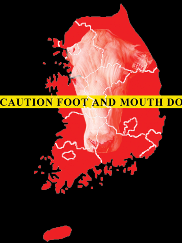 FMD closes South Korea markets