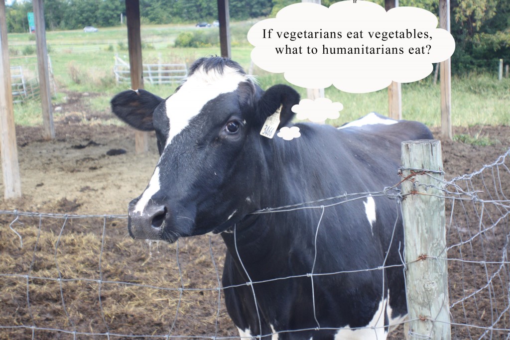 FMD:  What’s in a name?