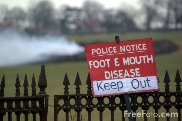 Reposted with permission from FreePhoto.com and by Photographer Ian Britton