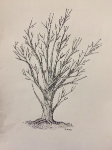 Phen tree