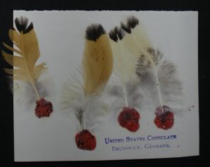 Brunswick Chicken Feathers