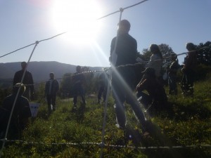 2012 pasture walk and on-farm workshop in the Mad River Valley.