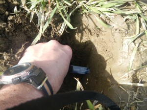 Installing soil moisture sensors in the field