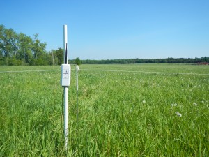 Installed soil moisture sensor (front view)