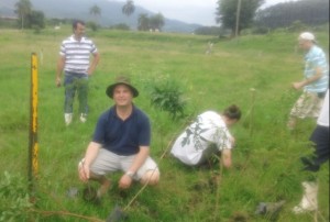 Planting native multiple trees species on a rotationaly grazed pasture