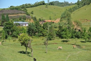 Santa Catarina mountainous farmscape