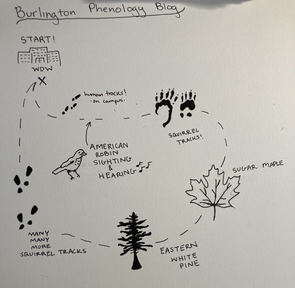 Map of my phenology experience