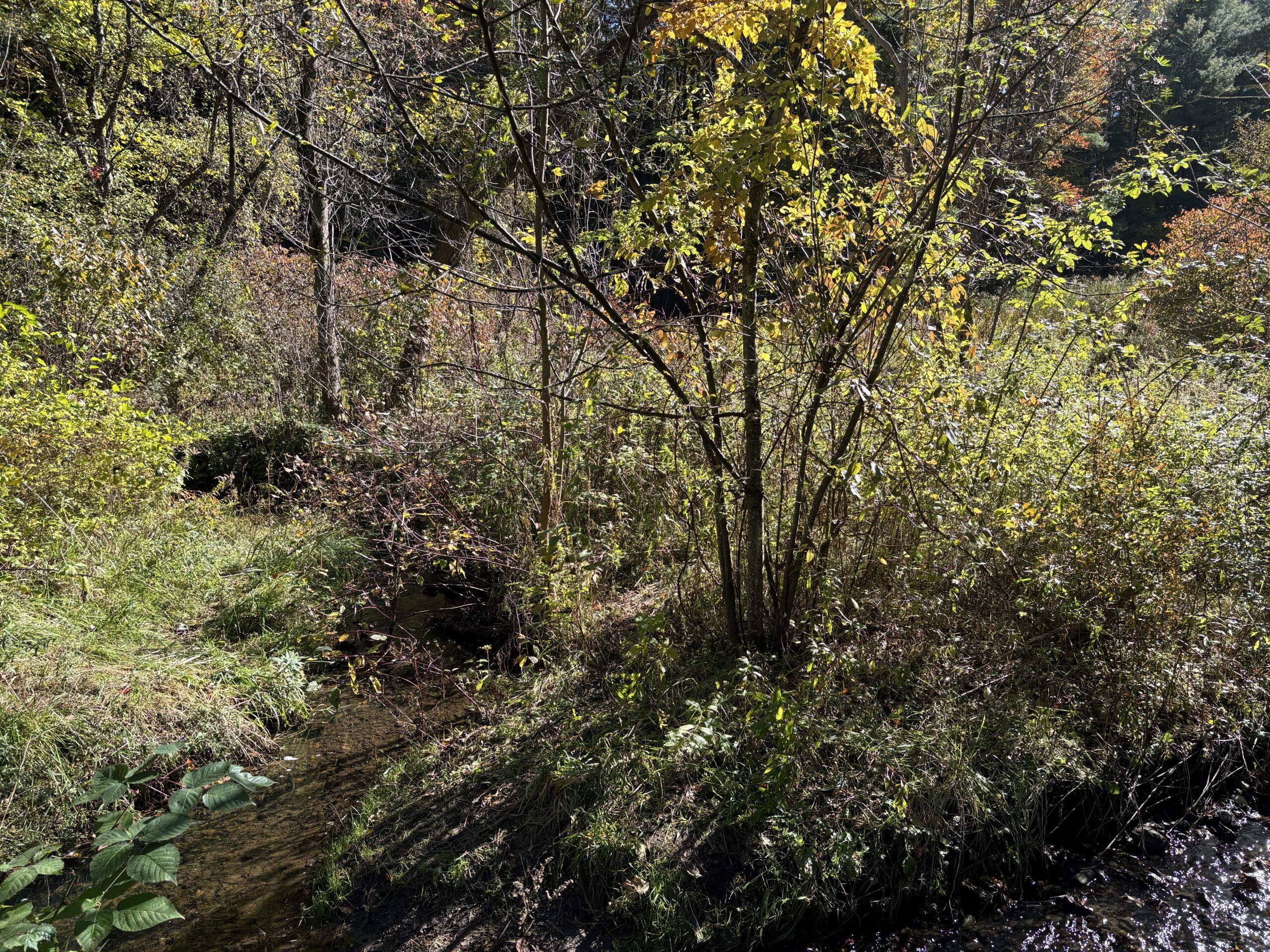 This image has an empty alt attribute; its file name is IMG_0698-scaled.jpg