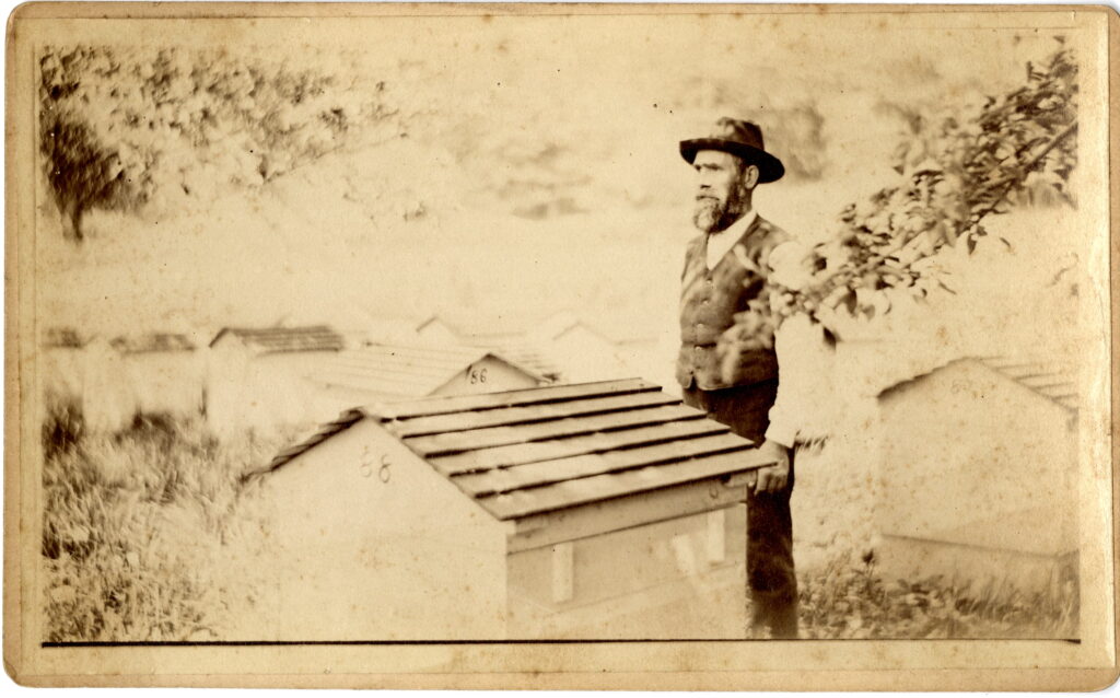 A man wearing a hat stands in a yard filled with bee hives. The hives have gable roofs and colony numbers are written on the front of each one. 