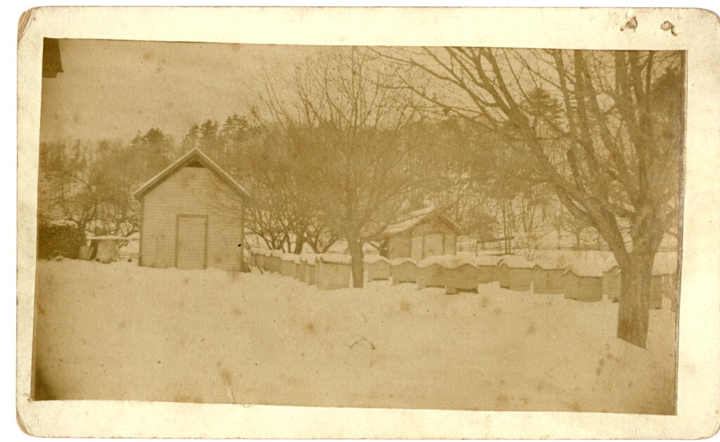 The photograph shows an apiary in winter, with snow on the ground and on the gable roofs of numerous bee hives arranged between two wooden outbuildings.