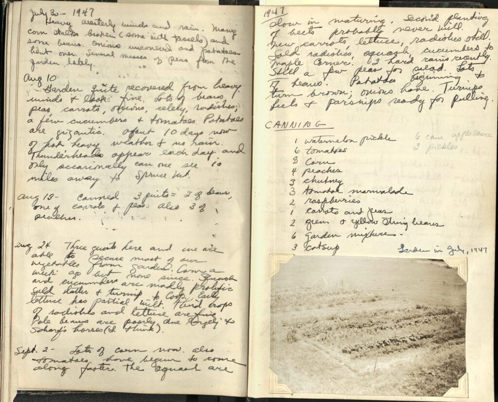 Two handwritten journal pages with July and August entries about garden progress, a list of vegetables and fruits canned, and a photo of the garden.