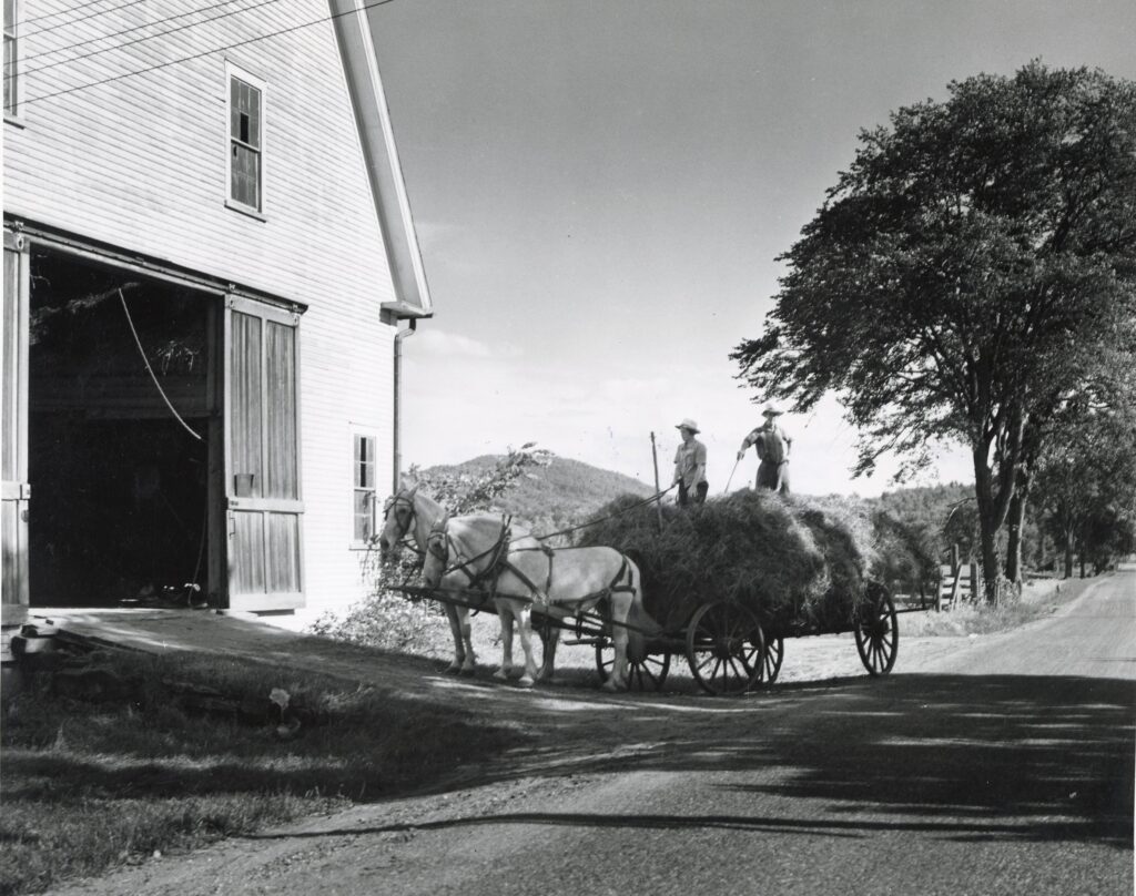 A horse-drawn wagon carries hay into a barn.